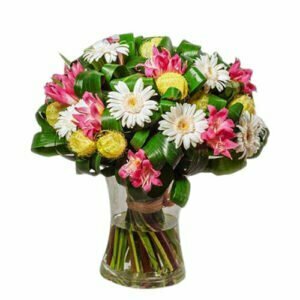 משלוחי פרחים בראשון לציון, Алей Дафна
