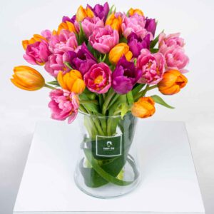 משלוחי פרחים בראשון לציון, Aley Dafna