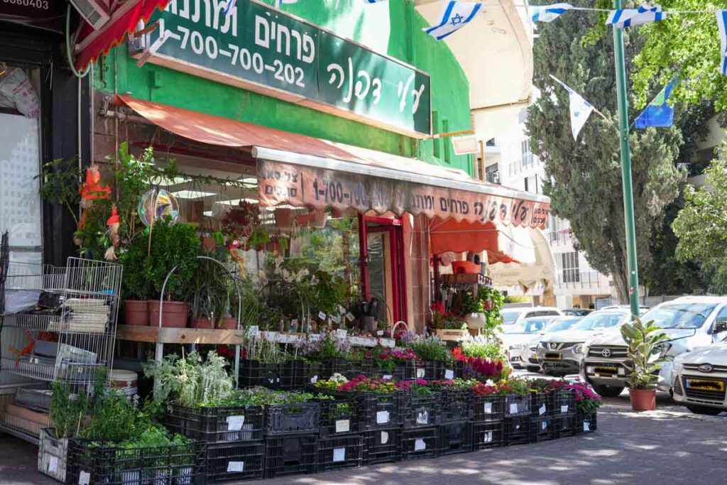 עלי דפנה חנות פרחים_זר פרחים_צילום סיילוגרף
