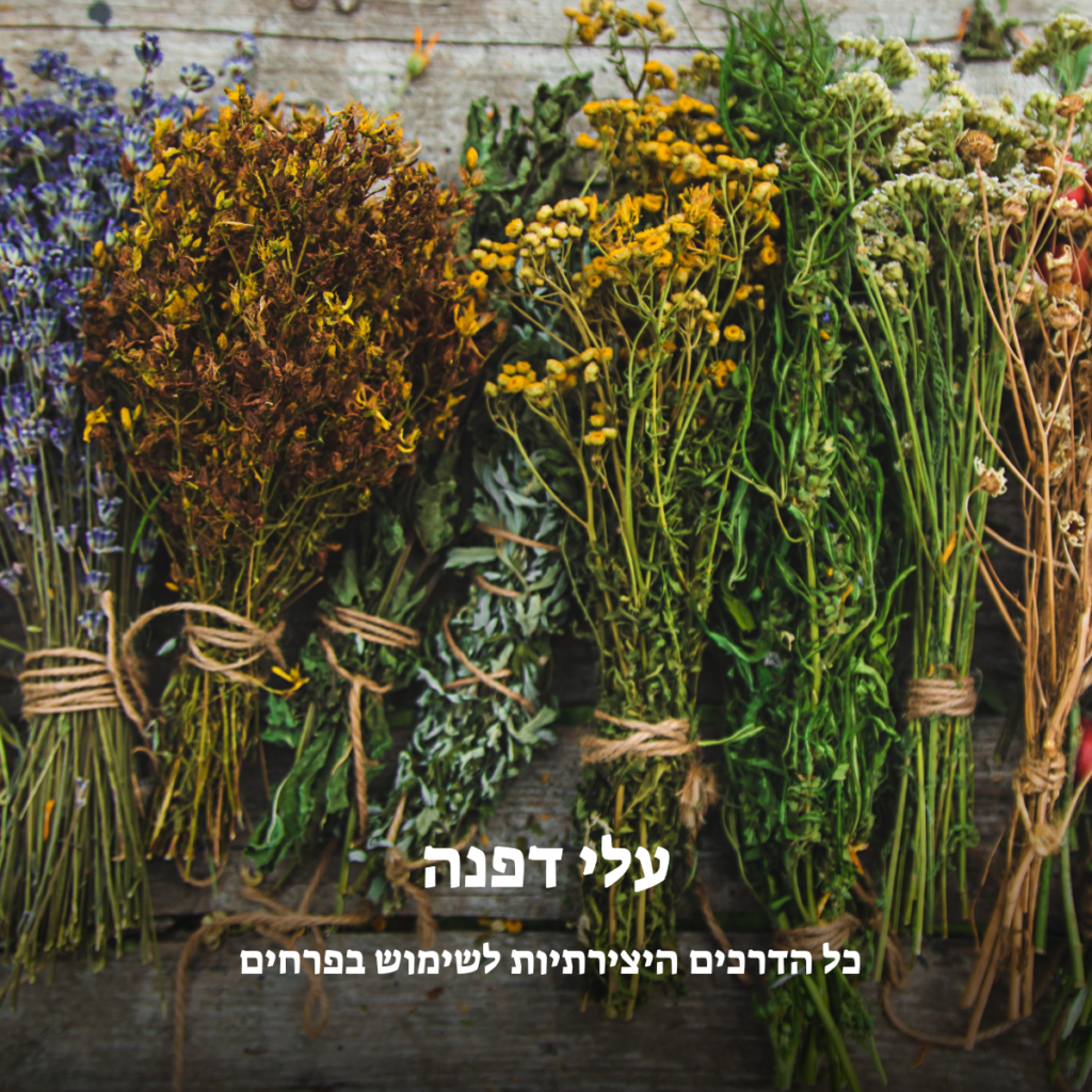 חנות פרחים רמת גן: כל הדרכים היצירתיות לשימוש בפרחים - מאת עלי דפנה
