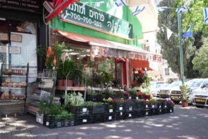 עלי-דפנה_איך-לבחור-חנות-פרחים-רמת-גן-שמתאימה-בדיוק-לך