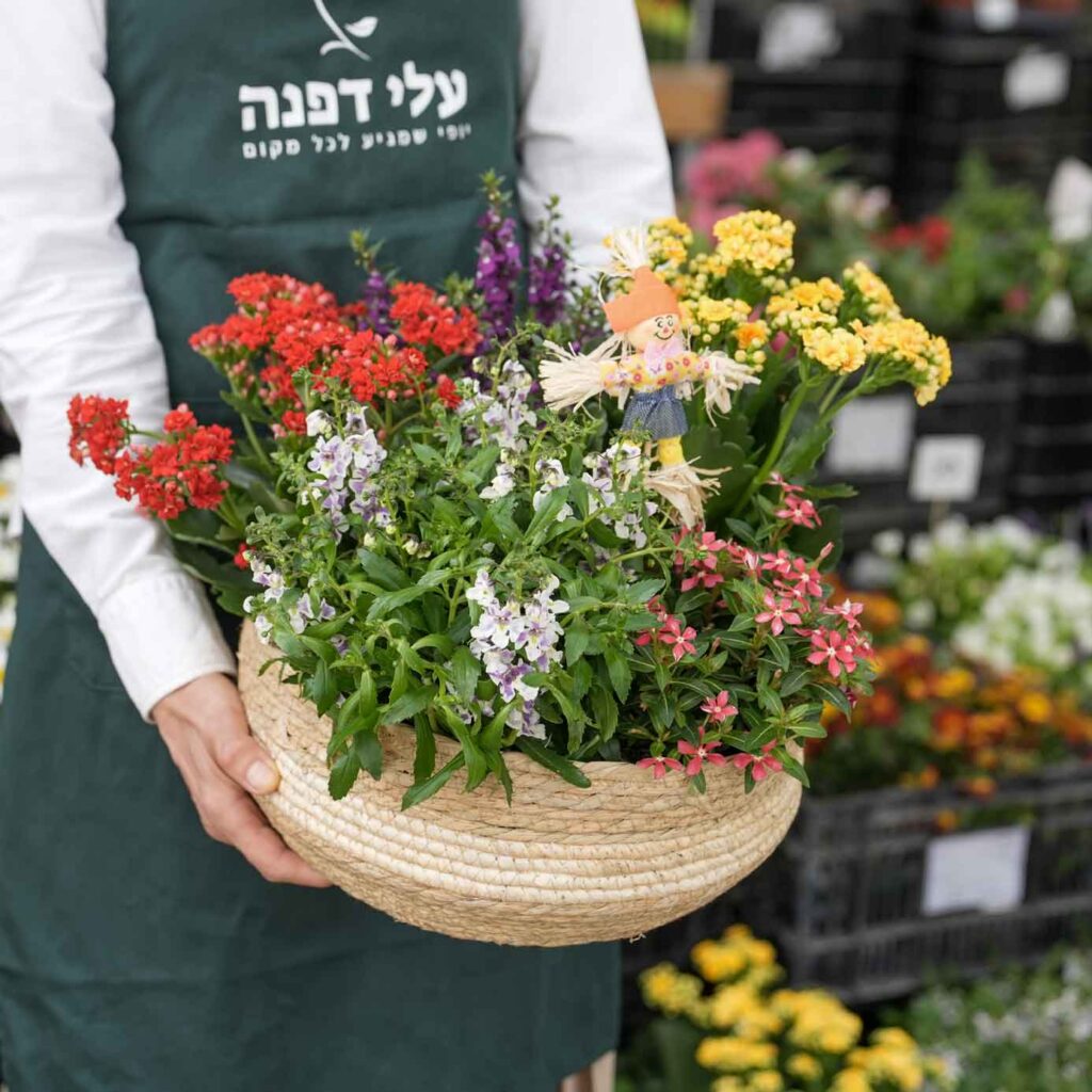 עלי דפנה_התאמה לפי הצורך

